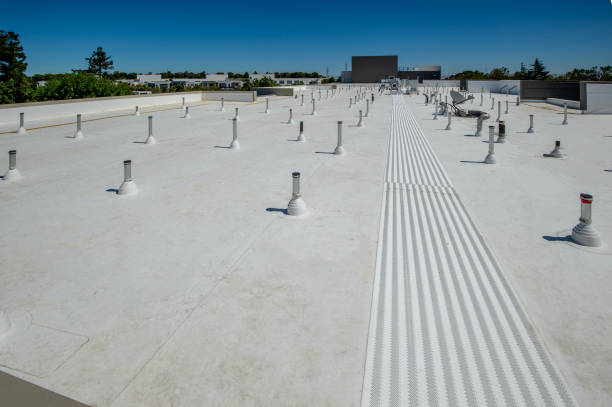 Best Roof Waterproofing  in Richmond, VA